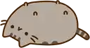 Pusheen